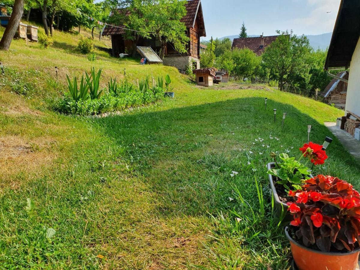 Apartman Draga Bed and Breakfast Mokra Gora Exteriör bild